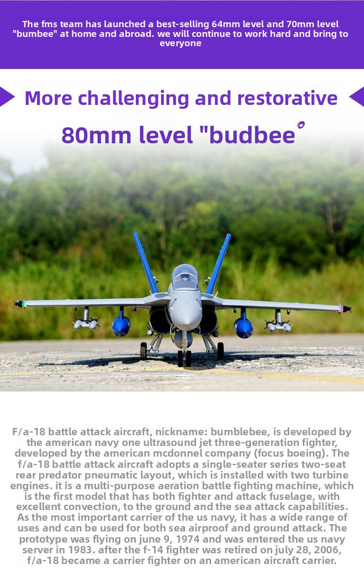F/A-18 Hornet fighter