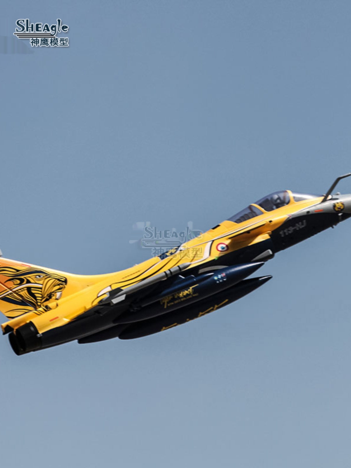 Rafale with Rafale Fighter