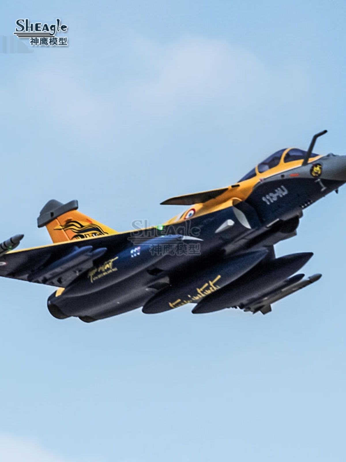 Rafale with Rafale Fighter