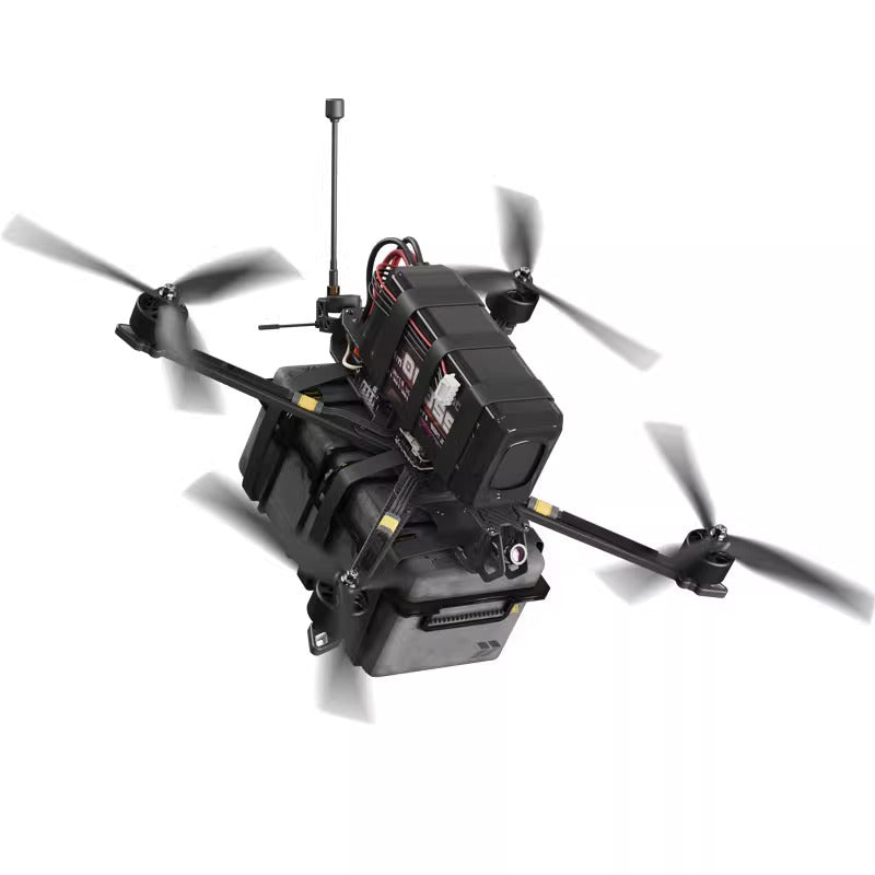 10INCH  FPV